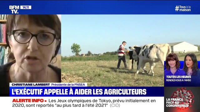 Desbraspourtonassiette.com : la FNSEA met en place une plateforme en ligne pour aider les agriculteurs dans les champs