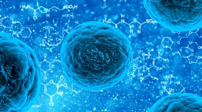 Hantavirüs nedir, hangi hayvandan bulaşır? Hantavirüs nerede ortaya çıktı? Hantavirüs belirtileri nelerdir? Hantavirüste salgın tehlikesi var mı?