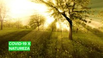 Veja como o Coronavírus está ajudando o meio ambiente