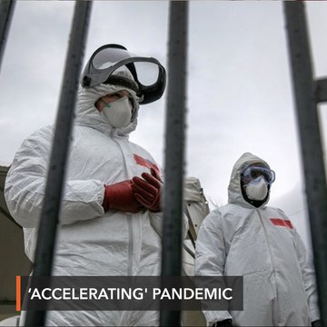 Coronavirus pandemic 'accelerating' – WHO chief