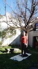 yoga... chat, chien tête en bas guetteur