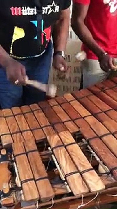 Manu Dibango - Du Genie ambulant !