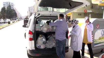 Ulu çınarlar istedi, devlet seferber oldu