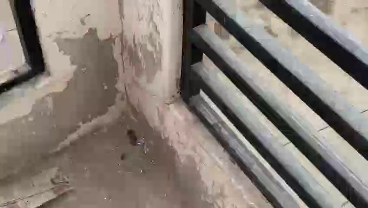 Corona se bacha rhi logo ko police corona police