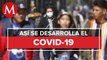 ¿Cuáles son las fases de contagio del coronavirus en México?