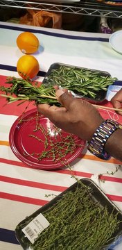 Herbs Basting Brush from, In the Kitchen with Chef Rene Hewitt