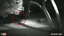 5 CREEPY CRYPTID Sightings Caught On Camera and Spotted IRL...