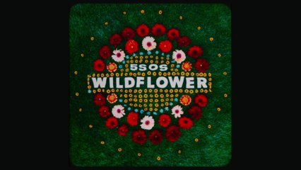 5 Seconds of Summer - Wildflower