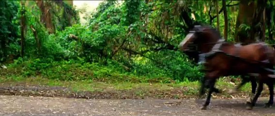 RUNNING FOR GRACE Clip - Horse Race