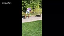 Thanks for the help sir! Beaver dragging a tree branch in Canada gets help by a golfer