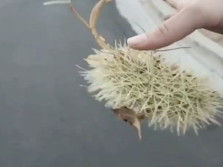 7 worst types of people in Arizona - ABC15 Digital