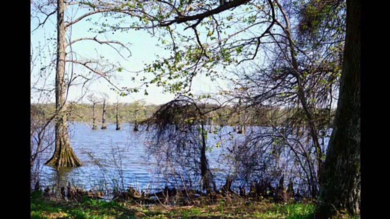 Video 10 US 60 Art Drop 2016 Road Trip day 4 Reelfoot  Natonal Wildlife Refuge Nature Drive