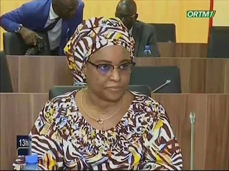 ORTM/Réunion de la commission de pilotage de transfert de compétence et des ressources de l'Etat aux collectivités territoriales à la primature