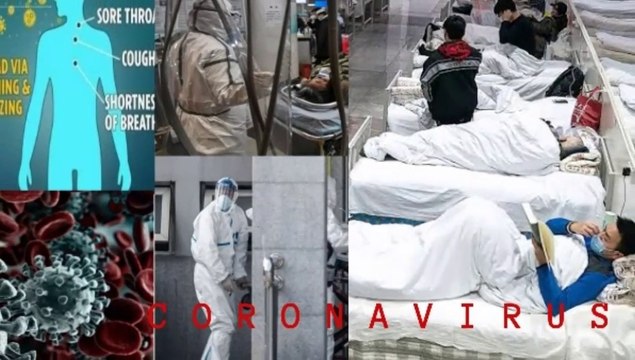 Coronavirus in Italy coronavirus in China WHO coronavirus in Japan coronavirus in uk coronavirus in Spain coronavirus in France coronavirus in south Korea coronavirus in Iran coronavirus in u.s. coronavirus in Pakistan coronavirus in India COVID-19