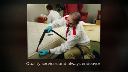 A1 Bed Bug Exterminator Syracuse