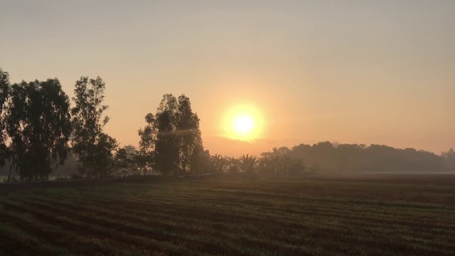Stork Stir Fried With Melon - Yummy Cooking Stork Stir Recipe - YUMMY COOKING