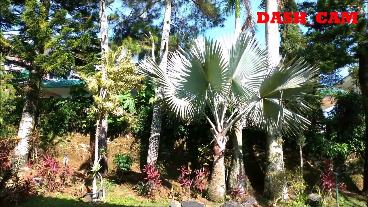 a beautiful home garden