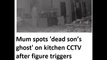 Mom spots 'dead son’s ghost' on kitchen CCTV camera after figure triggers camera sensor