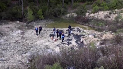 Ziftte hareket etmekte zorlanan köpek ile 5 kaplumbağa kurtarıldı