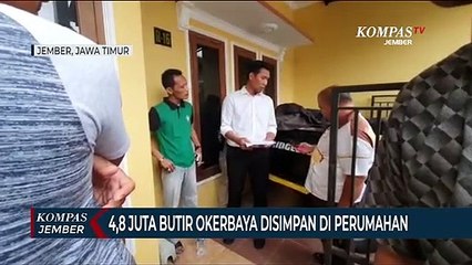 4,8 Juta Butir Okerbaya Disimpan di Perumahan