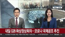 내일 G20 화상정상회의…코로나 국제공조 추진