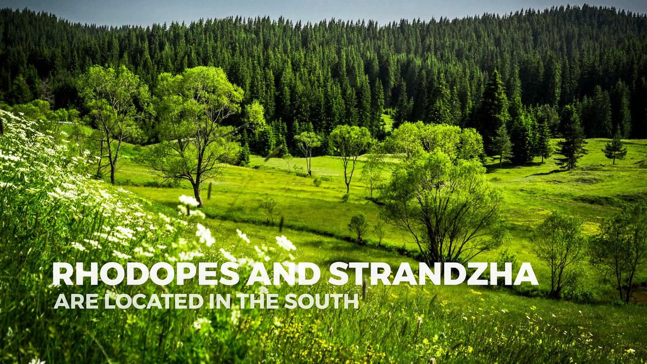 BULGARIAN MONUNTAINS