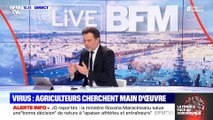 Virus: agriculteurs cherchent main d'oeuvre - 25/03