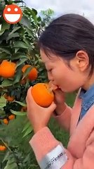 Funniest videos.The moments you might see only once in your life.▶ 33