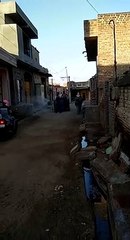 भवराणी गांव में दवाई का छिड़काव किया गया