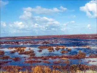 Flamants roses  et kitesurfing à DJERBA 
