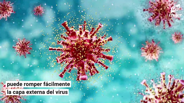 Consejos sobre el cuidado de perros y gatos durante la cuarentena por el COVID-19