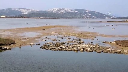 Tuzla Sulak Alanı'nda suların çekildiği iddiası