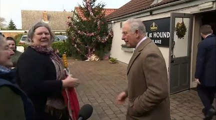 Coronavirus  : le prince Charles testé positif, la reine Elizabeth II en "bonne santé"