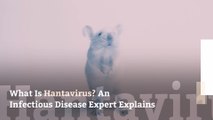 What Is Hantavirus? An Infectious Disease Expert Explains