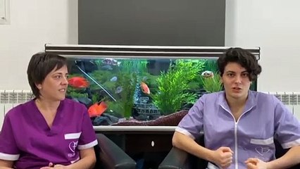 Trabajadores de un centro mayores de Estella se encierran con sus residentes