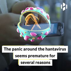 what is hantavirus | treatment for hantavirus |what is lassa virus| hantavirus uth | after coronavirus hantavirus scared the world.