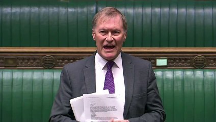 MP Urges Attenborough or Dench to Lead COVID Public Broadcasts 🎥