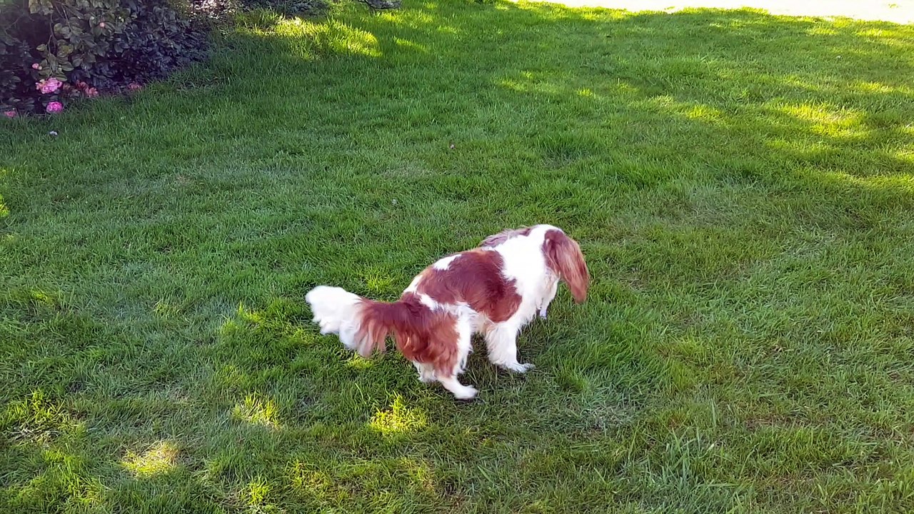 Jeux au jardin suite