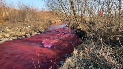 - Kanada'da Mississauga kentindeki nehir kırmızıya büründü