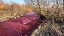- Kanada'da Mississauga kentindeki nehir kırmızıya büründü