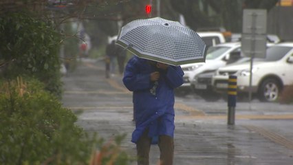 [날씨] 오늘 전국에 비...우산 챙기세요! / YTN