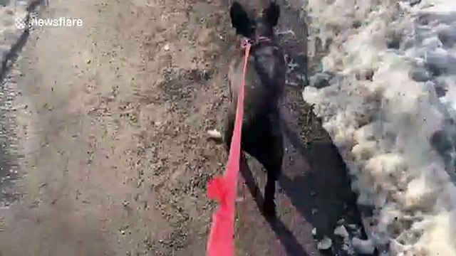 Satisfying ASMR ice cracking on driveway in Montreal
