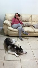 Husky Practices Social Distancing