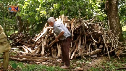 tn7--Chichi- trabaja en el campo y juega bola descalzo-250320