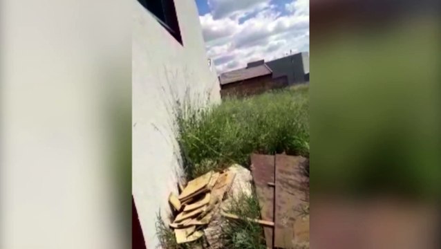 Moradora do Cascavel Velho pede limpeza em lote com mato alto e descarte de entulhos