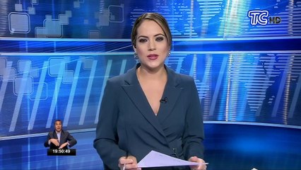 Con las personas en cuarentena los perros callejeros sufren sin ayuda