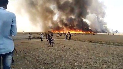 खेत में आग का तांडव, लाखों रुपए का गेहूं जलकर खाक