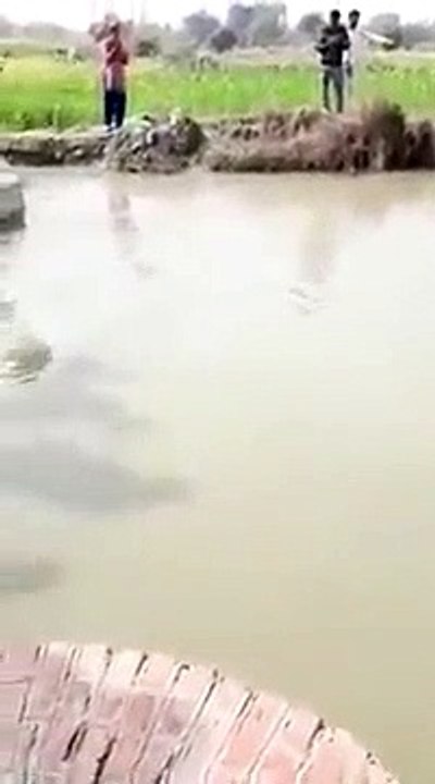 छोटे से गाओ में बड़ी मछलि