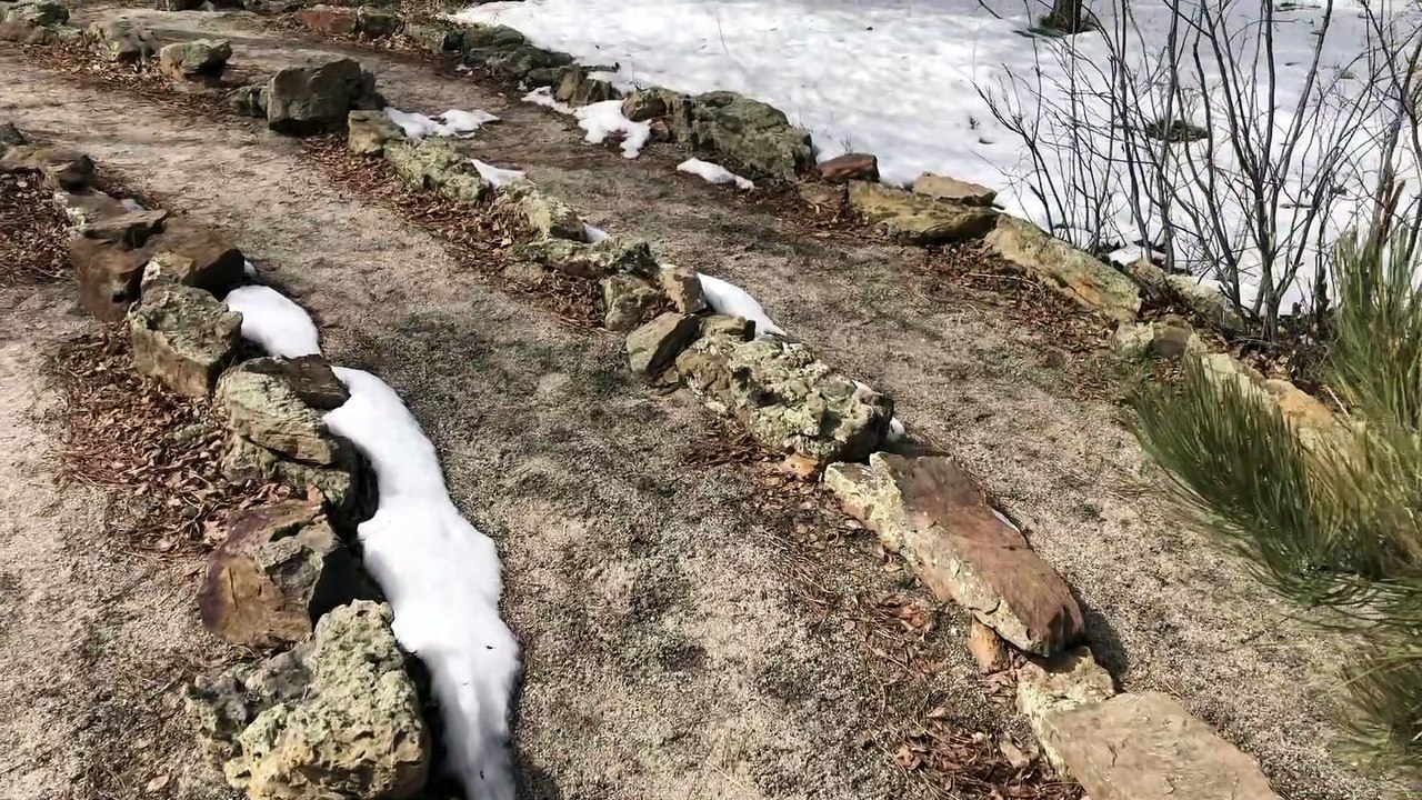 Labyrinth Walk 2020