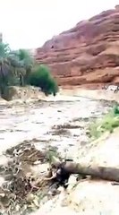 आज Odisha में टकराएगा तूफान, High Alert पर आपदा प्रबंधन की टीमें